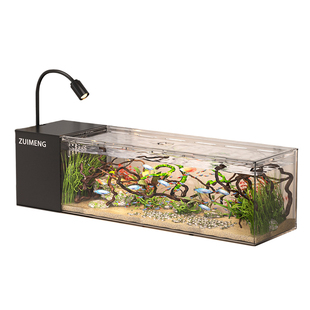 桌面溪流缸侧滤生态鱼缸超白原生造景客厅家用自循环过滤溪流鱼缸