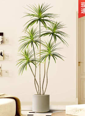 直播间沙发边大型落地摆件轻奢绿植仿真龙血树入户玄关装饰品摆设