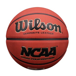 Wilson威尔胜NBA篮球PUNCAA专业比赛室内外通用WTB1233IB07CN