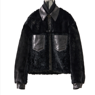 2025新品冬季欧货进口拉贡羊羔毛皮毛一体女拼接水貂毛皮草外套