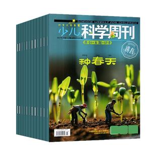 少儿科学周刊儿童/少年版杂志2026年1-2月(全年/半年订阅/2025年1-12月/2024)科学画报小学生一二年级全彩注音动手科普绘本非过刊