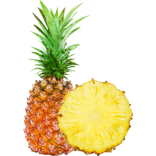 海南金钻凤梨新鲜水果树上熟芒果凤梨香水菠萝大果无眼整箱包邮