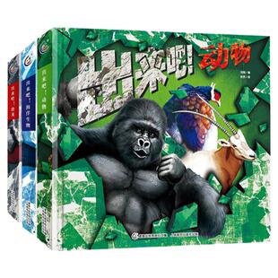 青葫芦 出来吧！动物+恐龙+海洋生物全3册 大型3D立体科普书呈现超震撼效果翻翻抽拉折页等活动机关动手动脑情景式阅读科普读物