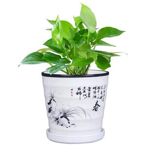 高款兰花花盆陶瓷大号带托盘厂家直销北欧简约创意绿植室内吊兰盆