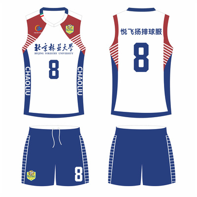无袖排球服套装定制男女比赛队服