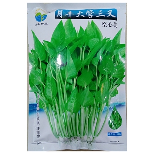 大管三叉空心菜种子一籽三岔粗梗淡绿杆蕹菜通心竹叶藤菜籽500克