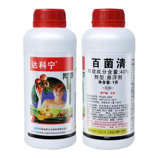 40%百菌清 日本达科宁 百菌青 黄瓜疫病霜霉病炭疽病农药杀菌剂
