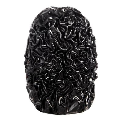 驰口香黑枣新鲜大乌枣500g