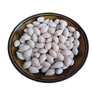 2025年新鲜白果银杏果1-5斤装包邮无漂白生百果大佛指带壳银杏仁