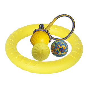 宠物训犬球狗玩具训狗飞盘拉环响片耐咬咬棒专用马犬德牧训练用品