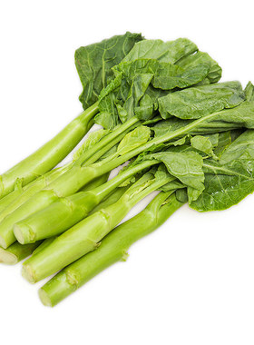 蔬菜香菇芥兰广东秋季种子