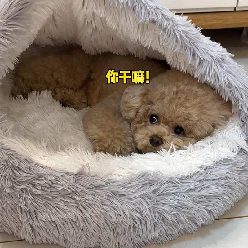 贝壳猫窝狗窝冬季保暖封闭式安全感中小型犬泰迪垫子猫狗床宠物窝