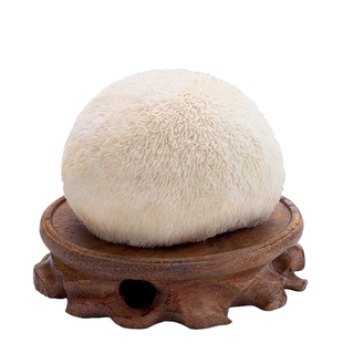 [25年]头茬新鲜猴头菇不苦不涩鲜嫩爽口煲汤炒菜冷冻保存顺丰京东