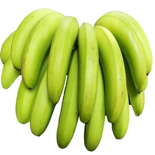 新鲜绿香蕉5斤广东水果Green bananas are served现摘超甜香蕉