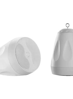 Hivi/惠威 CS206吊球挂装定阻定压两用吊灯型音响指向性背景音箱
