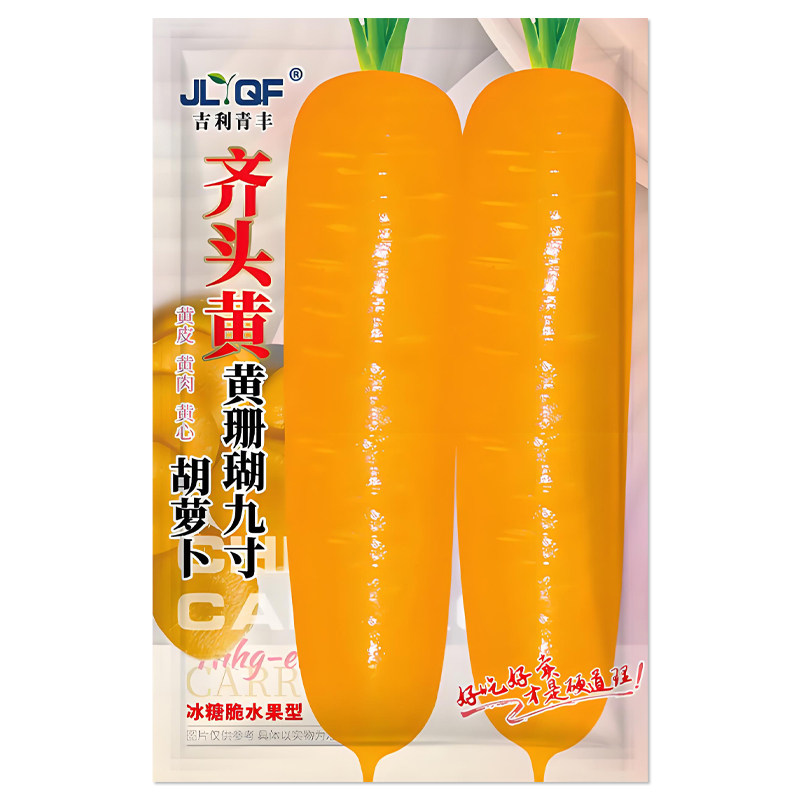 齐头黄黄珊瑚九寸胡萝卜种子