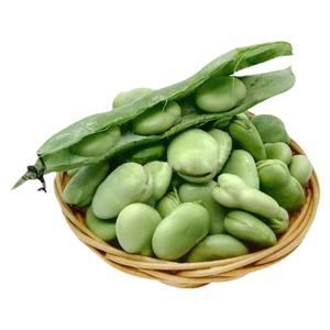 江苏本地大颗速冻蚕豆新鲜零食干货生蚕豆米商用青豆冻蚕豆2024年
