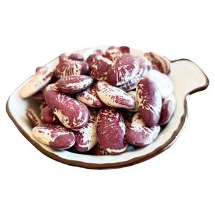 新货云南高原深山农家自种荷包豆美味营养杂粮肾豆状元豆花纹豆富