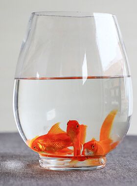 水培容器玻璃花瓶水培植物办公室客厅餐桌绿萝铜钱草花盆透明摆件