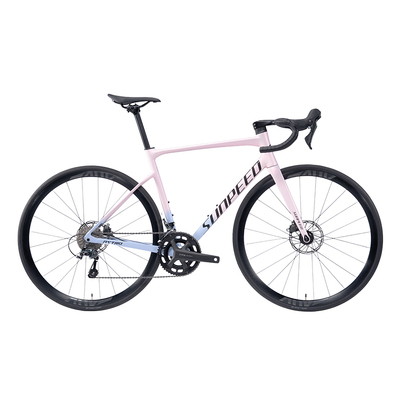 sunpeed速比特阿童木astro公路车桶轴纯油碟铝合金耐力车架自行车