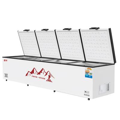 商用大容量冰柜冷冻单温卧式