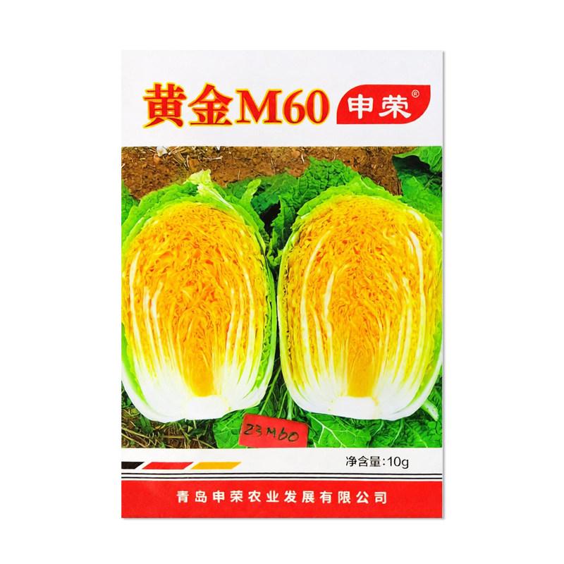 申荣黄金M60大白菜种子