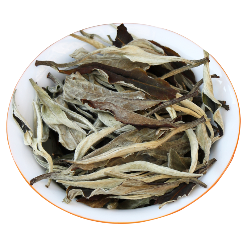 云南古树白茶景迈月光美人春茶