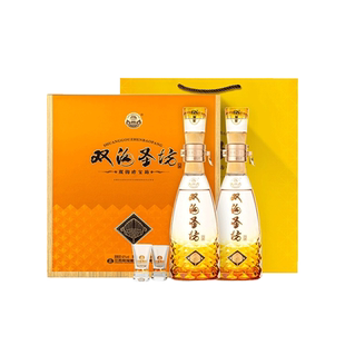 双沟专卖店双沟珍宝坊圣坊礼盒42度(500mL+20mL)*2瓶