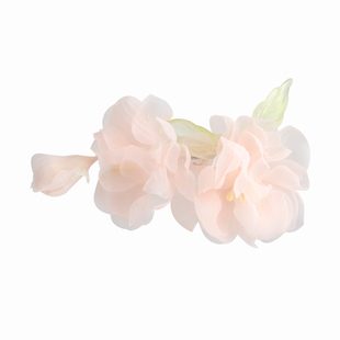 【娇妆露】绢纱烫花唐风边夹侧边发夹夹子头饰后压芍药牡丹古风配