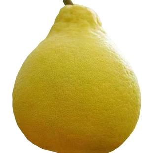 20斤精品特大果纯甜金柚沙田柚正宗南康甜柚白肉柚子斋婆柚晚熟柚