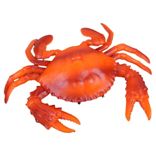 仿真螃蟹模型梭子蟹海洋生物爬行动物装饰道具大闸蟹摆件儿童玩具