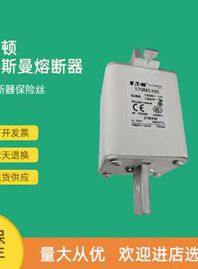 议价全新快速熔断器保险170M5148 170M5149 170M5150 170M5158