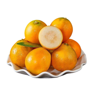 融安脆蜜金柑广西融安第三代脆蜜金桔新鲜水果顺丰产地直发礼品盒