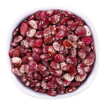 红腰豆花红豆云南大粒花豆