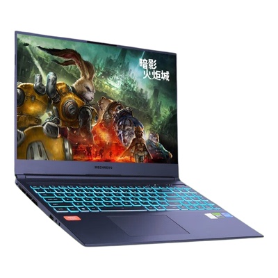 MECHREVO/机械革命 旷世 旷世G16 pro 极光X电竞游戏笔记本本电脑