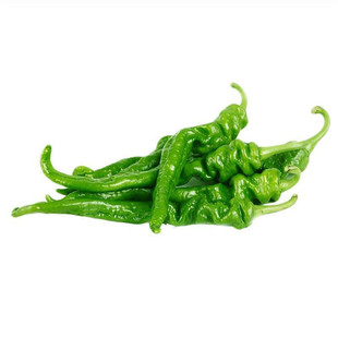 螺丝椒种子金螺丝青椒猪大肠辣椒种孑四季全国春季夏季秋季冬高产