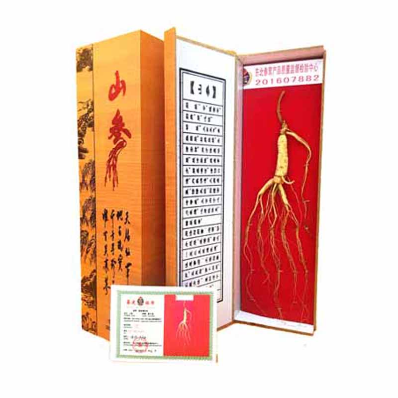 人参礼盒山参礼盒移山参非林下参山参10元带手提袋两盒包邮