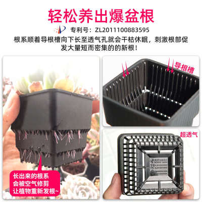 美莳多肉的花盆长方形套装组合树脂透气控根塑料植物专用和营养土