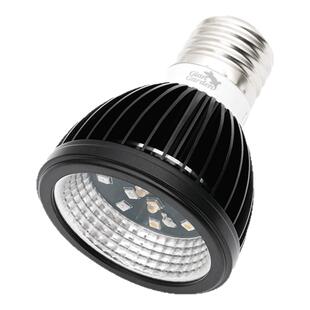 giangarden巨人爬宠uvb灯弗格森区鬃狮uvb灯全光谱uva uvb晒背灯