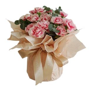 雪梨纸包装纸花束鲜花包花内衬纸礼物填充装饰花艺花店材料资材