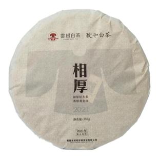 云根2023政和正宗高山寿眉老白茶春茶饼福建茶叶福鼎可配礼盒357g