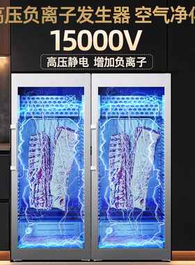 牛肉熟成柜干式和牛排酸柜西餐烤肉冷藏火腿恒温冷冻红酒柜展示柜