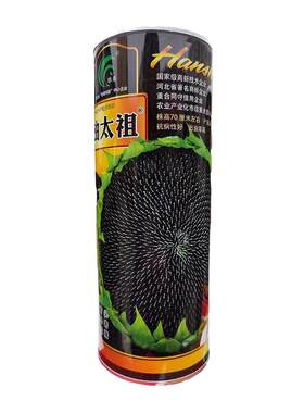 油葵种子向日亏大盘籽榨油用抗病