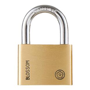 梅花黄铜挂锁防水防锈家用宿舍大门柜车厢箱包锁老式门扣小锁头锁