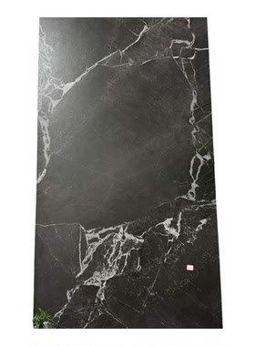 砖掌柜广东瓷砖600X1200BN地砖