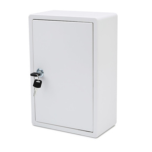 挂墙带锁大号订奶箱收纳箱挂墙式牛奶箱鲜奶投递箱送奶箱鲜奶箱