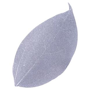 酒吧商店鸡尾酒装饰物金刚叶脉DIY永生花玉兰叶植物干花酒签装饰
