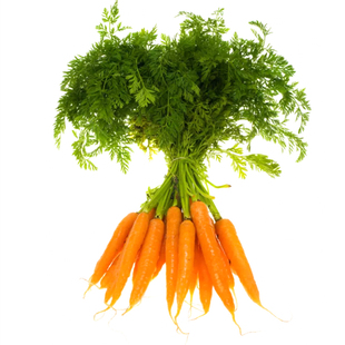 顺丰包邮大伯农场农家种植胡萝卜新鲜带泥土水果萝卜生吃宝宝辅食