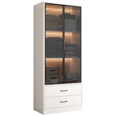 家用轻奢小户型现代玻璃门衣柜