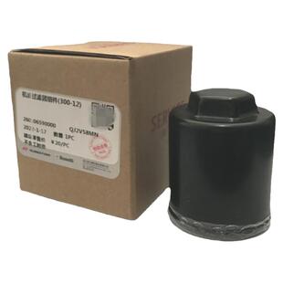 适用钱江闪300机油滤芯原装机油格闪350AMT机滤QJMOTOR原厂闪250V